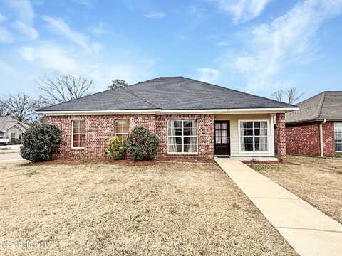 211 David Street, Pearl, MS 39208