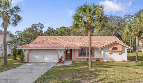 11097 GOLDEN EAGLE AVENUE, WEEKI WACHEE, FL 34613