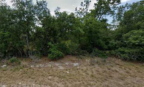 132 BONNIE ROAD NW, LAKE PLACID, FL 33852
