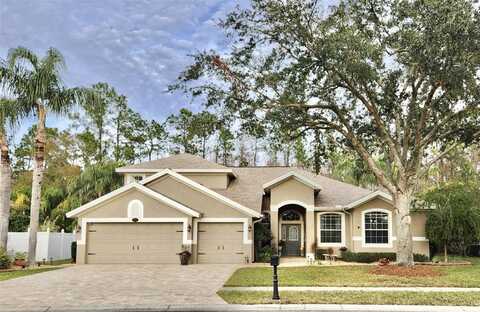 16754 IVY LAKE DRIVE, ODESSA, FL 33556