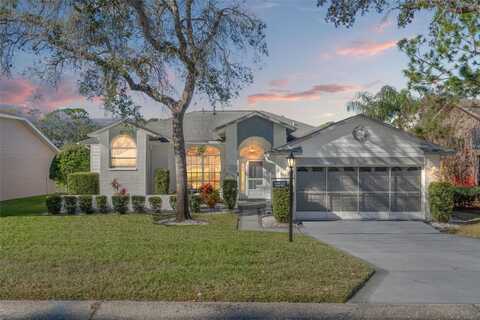 6527 MULLIGAN COURT, SPRING HILL, FL 34606