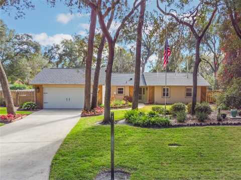 117 E GOODHEART AVENUE, LAKE MARY, FL 32746