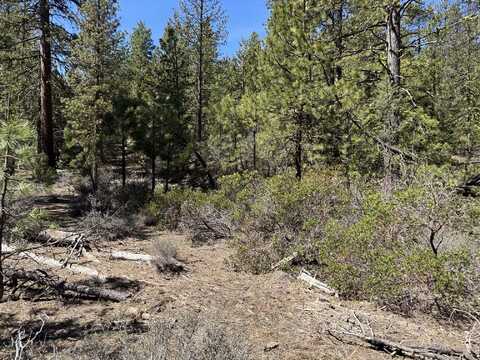 Horned Owl Way, Bonanza, OR 97623