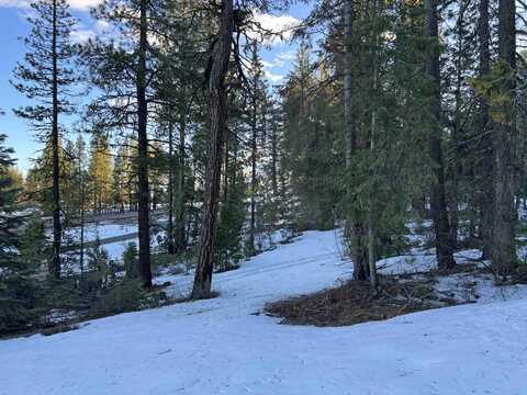 Horned Owl Way, Bonanza, OR 97623