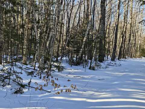 Lot 32 Alder Hill Road, Brownville, ME 04414