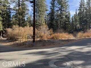 0 S Saw Mill Drive, Big Bear City, CA 92314