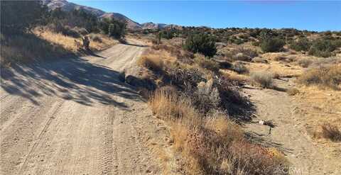 0 96th Street, Littlerock, CA 93543