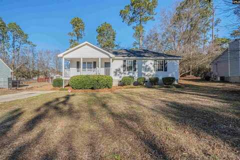 219 Community, Lexington, SC 29073