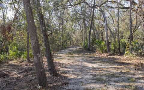 000 NW FOX RUN TRAIL, Mayo, FL 32066