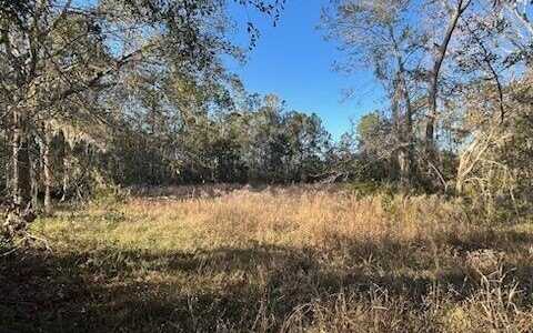 NW SCENIC LAKE DR, Lake City, FL 32055