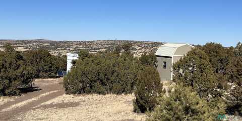 358 Cimarron Dr Road, Quemado, NM 87829