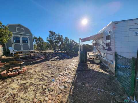 358 Cimarron Dr Road, Quemado, NM 87829