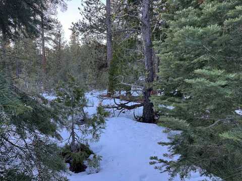 Lot 34 POR Horned Owl Lane, Bonanza, OR 97623