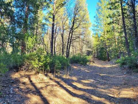 59791 Highway 70, Blairsden, CA 96103