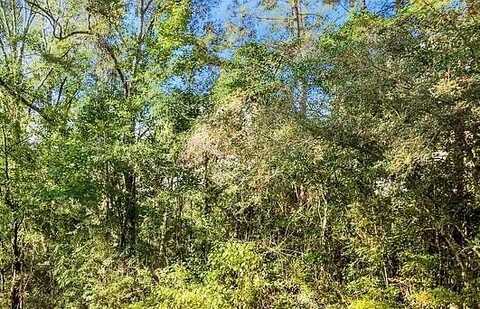 NHN 5th St Lot 260, Poplarville, MS 39470