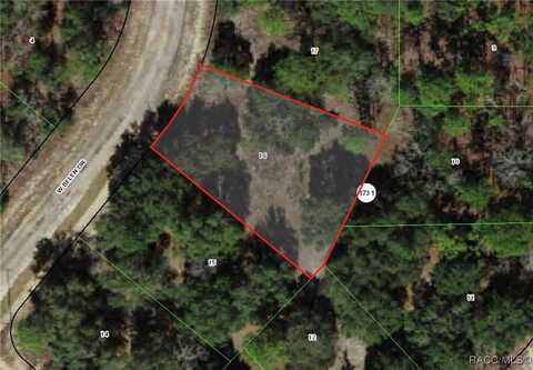1419 W Belen Drive, Dunnellon, FL 34434