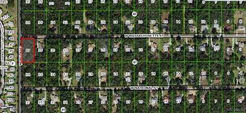 984 W Massachusetts Street, Hernando, FL 34442