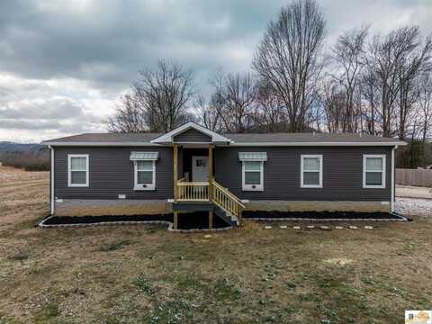 1054 Mitchell Street, Celina, TN 38551