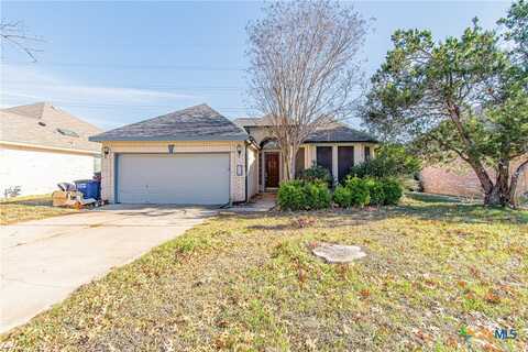 1206 Willow Creek Drive, Leander, TX 78641