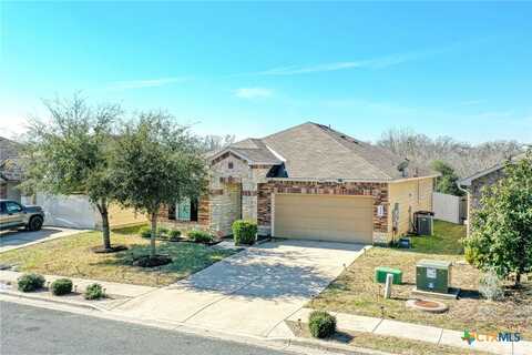 5520 Nelson Oaks Drive, Austin, TX 78724