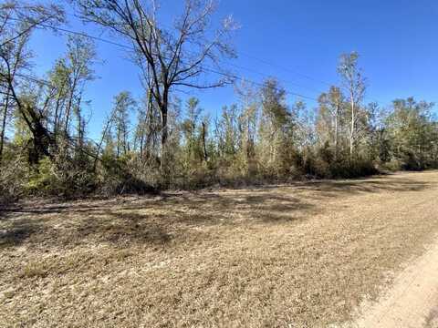 Vacant SE Olustee Drive, Lee, FL 32059