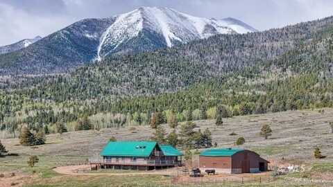 1900 CO RD 172, Westcliffe, CO 81252