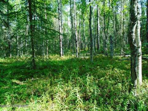 8581 W Skyview Drive, Wasilla, AK 99623