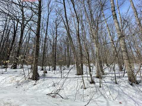 990-994 Arawak Pass, Gaylord, MI 49735