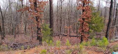 Lot 37B EGG & BUTTER ROAD, SHELBY, AL 35143