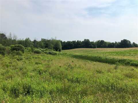 00 Dutch Ridge Rd - Lots #8 & 9, New York, NY 13126