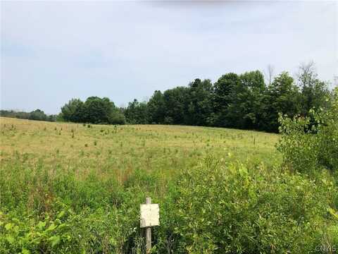 00 Co Rt 53 - Lot #3, New York, NY 13126