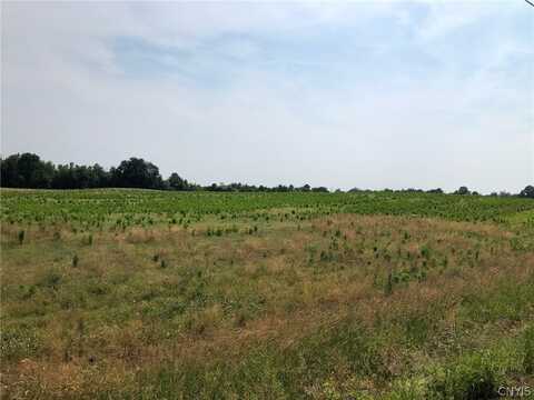 00 Dutch Ridge Rd - Lot #7, New York, NY 13126