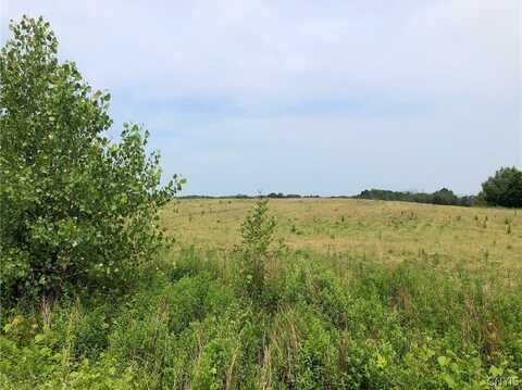 00 Co Rt 53 - Lot #2, New York, NY 13126