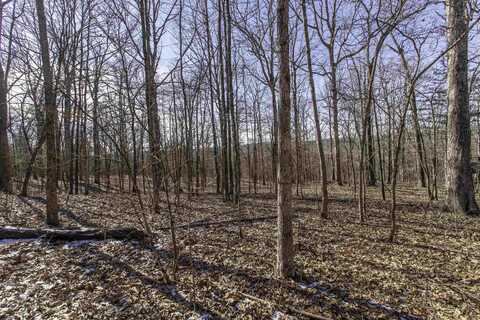 Lot 64 Big Buck Lane, Williford, AR 72482