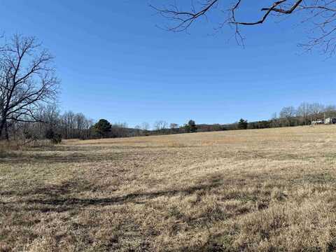 000 Sunny Land Road, Calico Rock, AR 72519