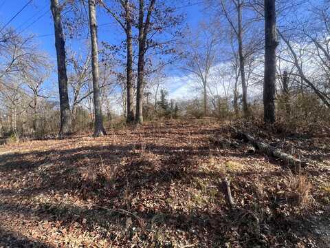 0 S Ehrich Avenue, Bridgeport, AL 35740