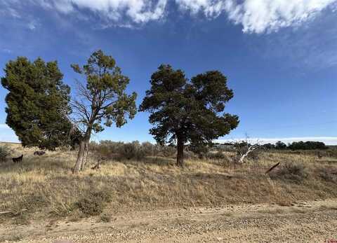 12040 Road N, Cahone, CO 81320