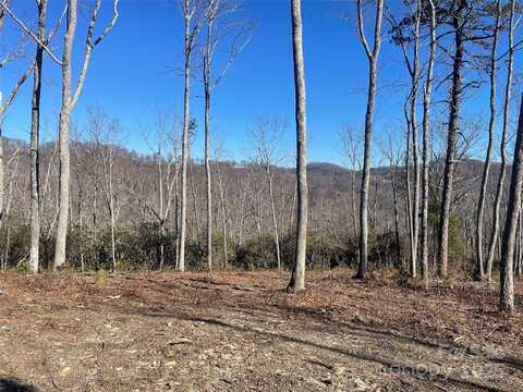 0000 Mountain Grove Lane, Fletcher, NC 28732