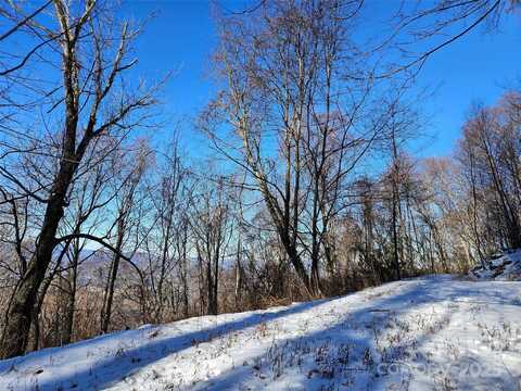 Marney's Vista Road, Waynesville, NC 28786