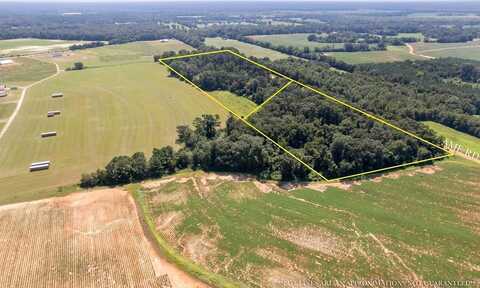 0 AME Lot 2, Slocomb, AL 36375