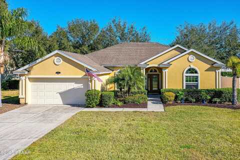 727 Grape Ivy Lane, New Smyrna Beach, FL 32168