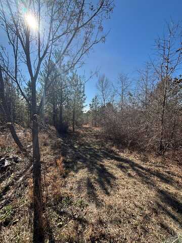 4 COUNTY LINE Road, Mitchell, GA 30820