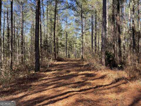 0 Crane Road, Dawsonville, GA 30534