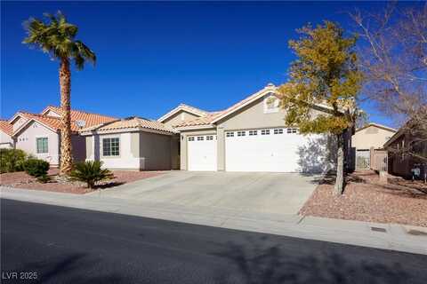 8772 Rio Grande Falls Avenue, Las Vegas, NV 89178