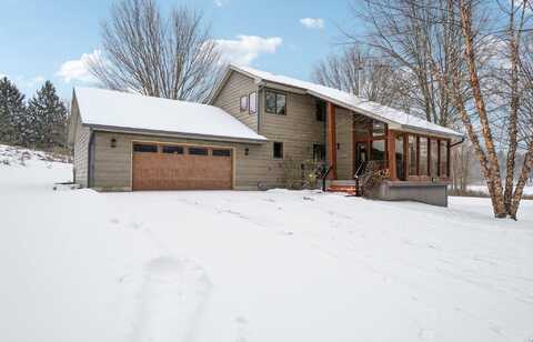 670 Island Lake Point, Chelsea, MI 48118