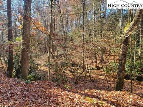 Tbd Lake Front Dr, Fleetwood, NC 28626