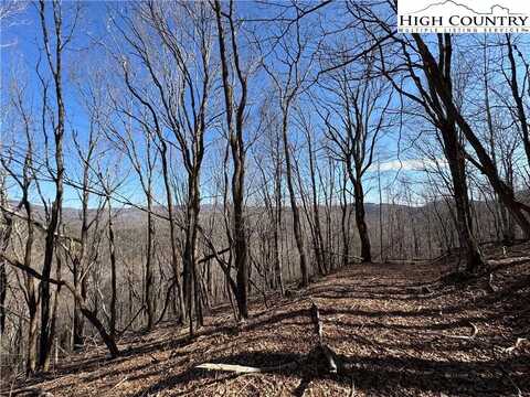 32 Jewel Weed Trail, Newland, NC 28657