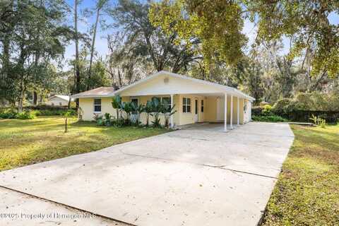 708 Buena Vista Avenue Avenue, Brooksville, FL 34601