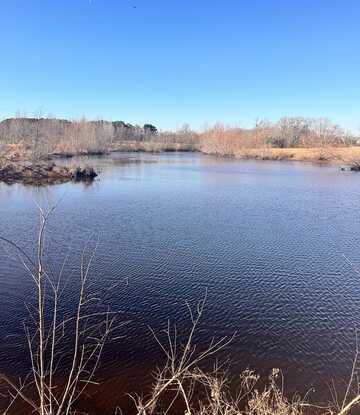 13233 CR 3801, Athens, TX 75751