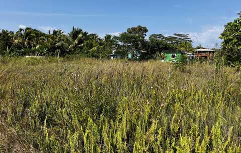 KEHAUOPUNA ST, Pahoa, HI 96778